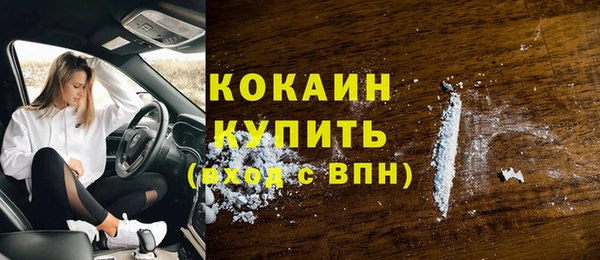 бошки Белокуриха