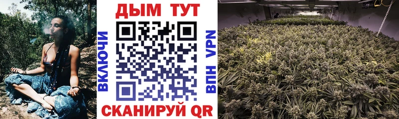 Марихуана SATIVA & INDICA  Горячий Ключ 